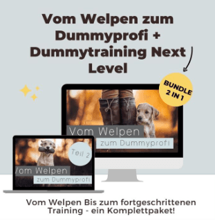 Dummy Komplettpaket Onlinekurs